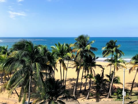 On the beach, sun loungers, beach towels