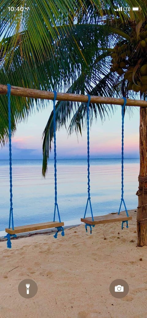 On the beach, sun loungers, beach towels