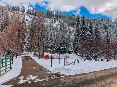 Snow and ski sports