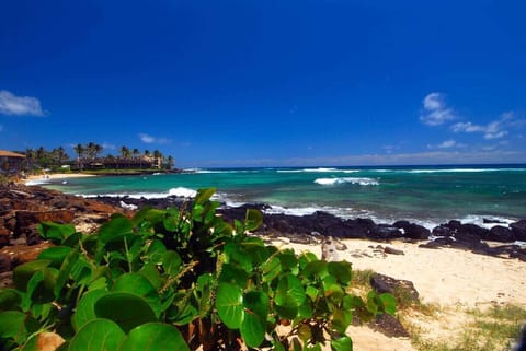 Beach nearby, sun loungers, beach towels