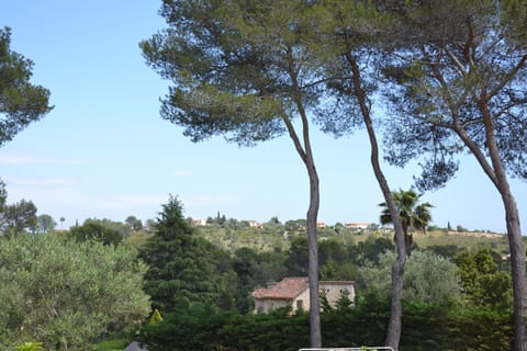 View from Master bedroom