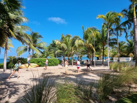 On the beach, sun loungers, beach towels