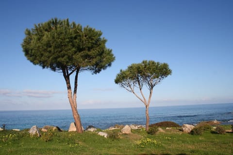 Beach/ocean view