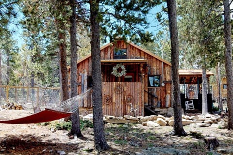 Sit back and relax in our cozy little cabin in the woods of Wondervu, CO. "Lil' Frying Pan" is one of 4 cabins in this piece of heaven.