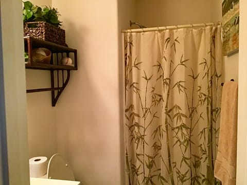 Combined shower/tub, towels