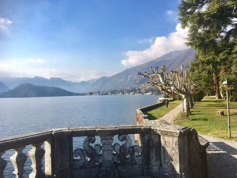 The view from the park in tremezzo