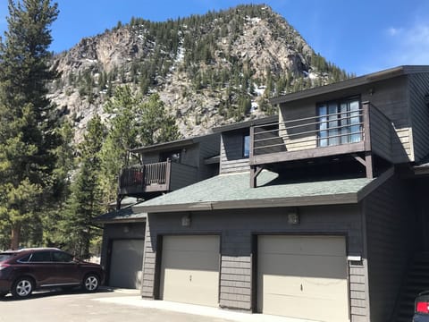 Condo property with Mt Royal in the background