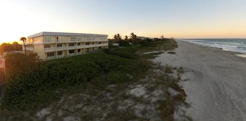 On the beach