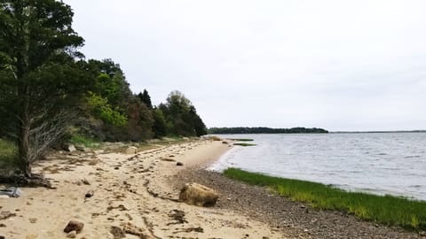 Beach nearby, sun loungers