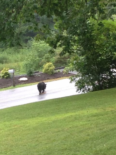 local traffic by our mailbox
