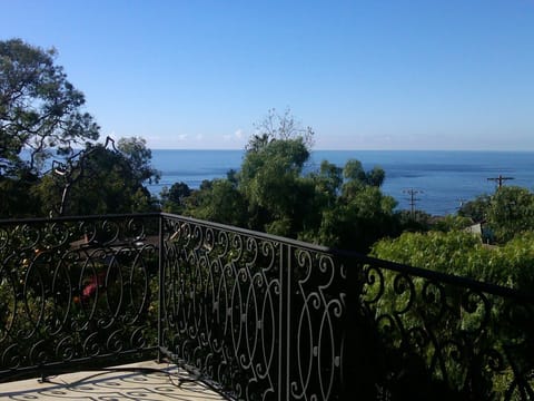 Another day in paradise!