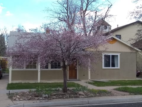 View of front in Spring with plum tree in bloom.  Sunflower in Peak,