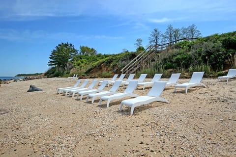 Beach | Sun loungers