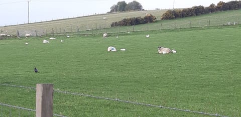 Beautiful rural location.