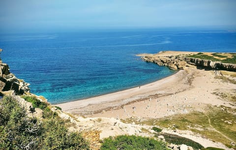 Sun loungers, beach towels