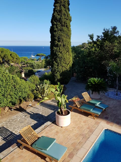 Outdoor pool, sun loungers