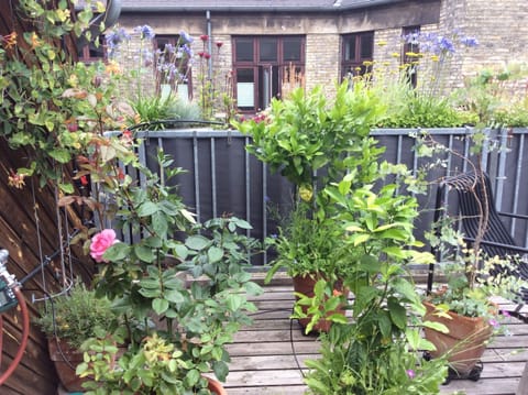 Rooftop terrace with direct access from the apartment. The terrace is shared. 