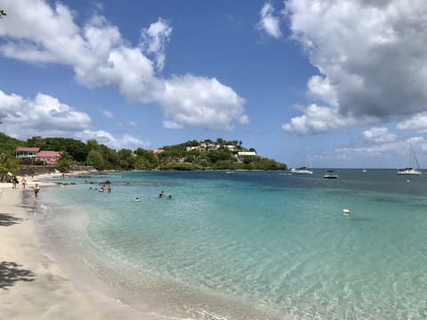 On the beach