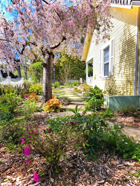 Front yard with stepping stones from parking area