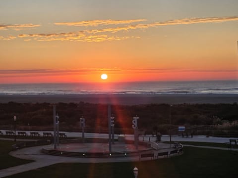 Beach/ocean view