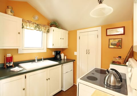 Full kitchen, with small refrig, electric stove, and microwave.