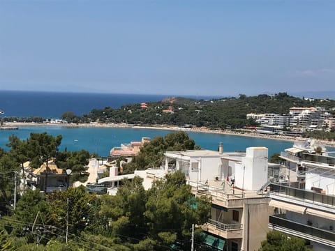 Vouliagmeni beach walking distance...