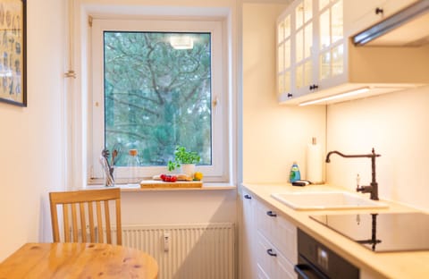 kitchen in holiday apartment Lürßen in Wittduen on the island Amrum