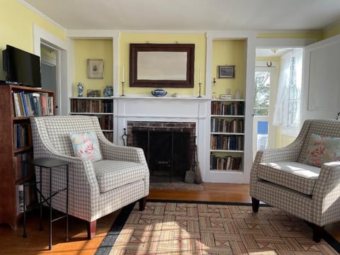 TV, fireplace, books