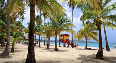 Sun loungers, beach towels