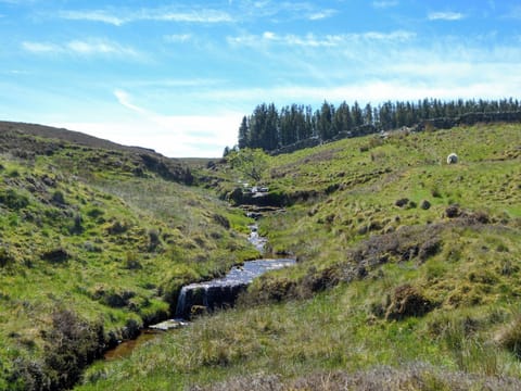Walks around surrounding farmlands | Spindle Well Barn, Elsdon, near Otterburn