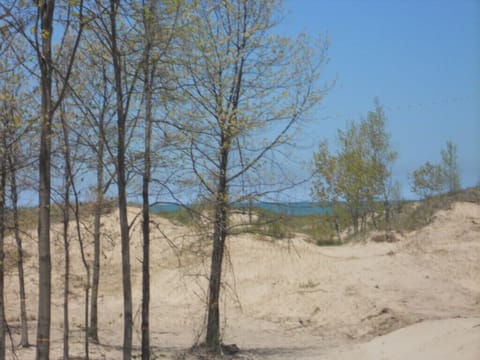 Beach- View from Washington Park - Shoreline is about 700 feet walk from house.