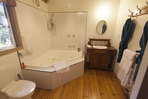 Combined shower/tub, jetted tub, hair dryer, towels