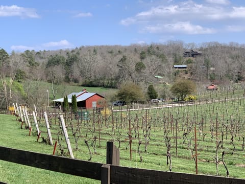 Local Wineries