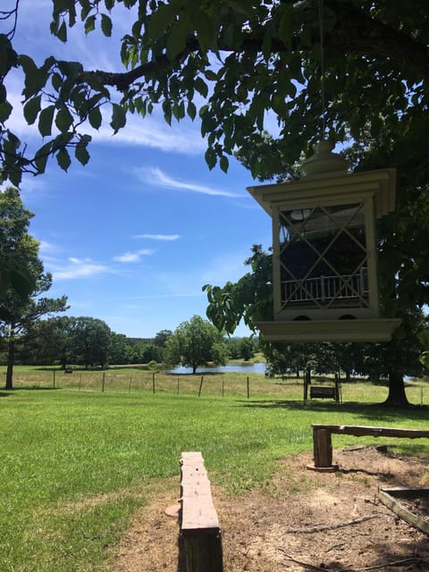We are full of a variety of birds to watch and listen too. 