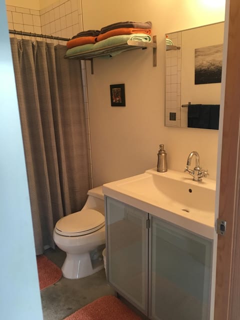 Combined shower/tub, hair dryer, towels, soap