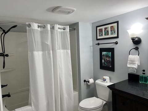 Combined shower/tub, hair dryer, towels, shampoo