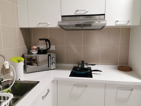 Fridge, microwave, stovetop, electric kettle