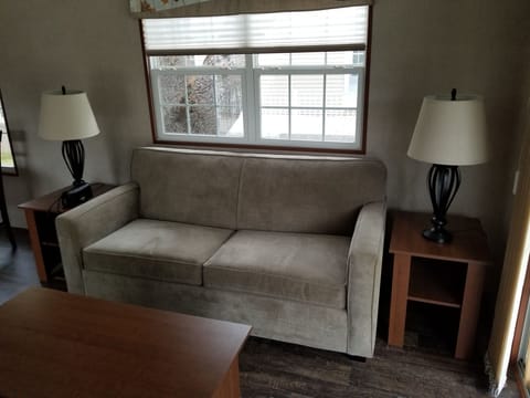 livingroom with double pullout couch