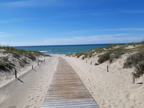 On the beach