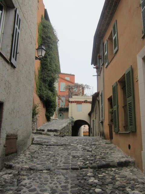 Explore the nearby village of Biot