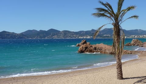 Beach nearby, sun loungers