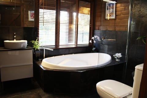 Combined shower/tub, jetted tub, hair dryer, towels