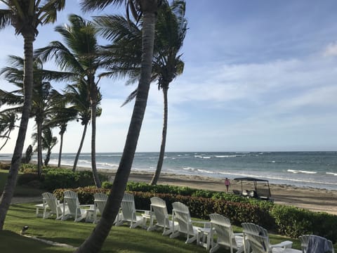 On the beach, sun loungers