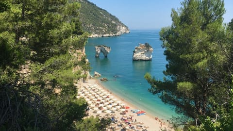 On the beach, sun loungers