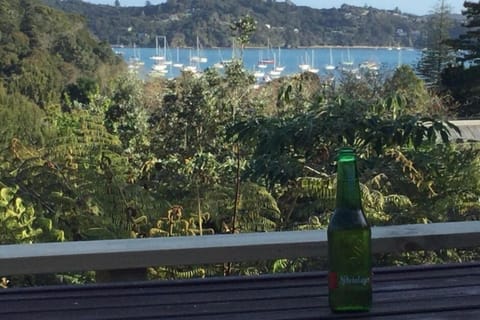 Drinks on the deck overlooking Matauwhi Bay