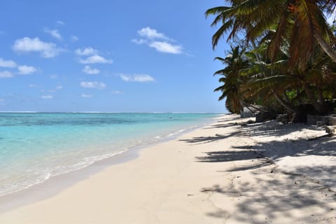 Beach nearby, beach towels