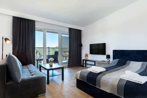 Living room with a comfortable sofa and TV. 