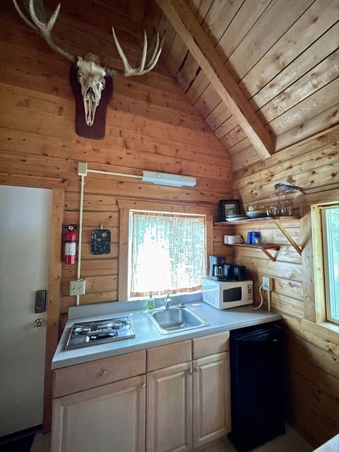 Cabin 1 Kitchenette