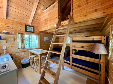 Cabin 1 Downstairs & Ladder to Loft