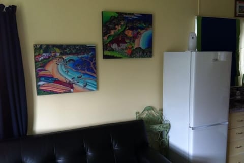 Pull out Sofa and Fridge